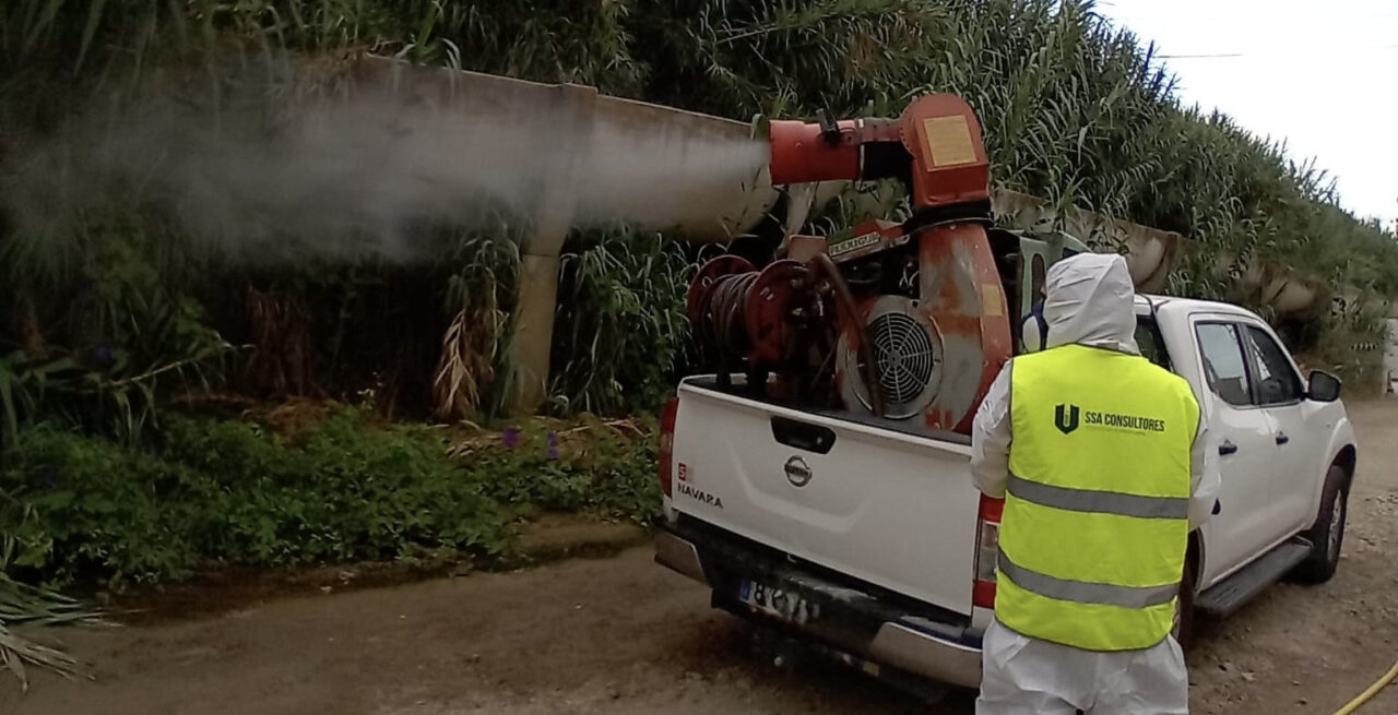 fumigando-1-1280x655.jpg